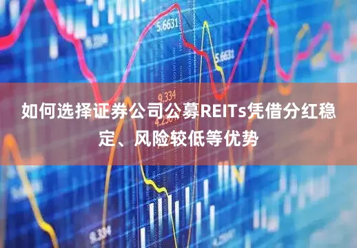 如何选择证券公司公募REITs凭借分红稳定、风险较低等优势