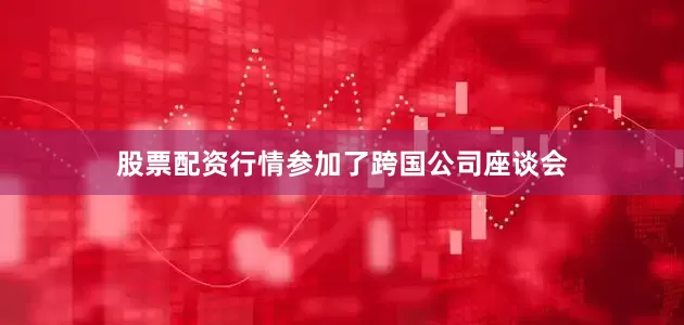 股票配资行情参加了跨国公司座谈会